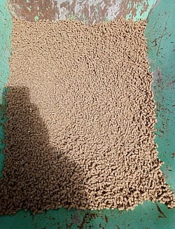 สูตรอาหารอัดเม็ดเพิ่มผลผลิตไข่